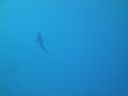 DSC00299.JPG
