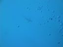 DSC00300.JPG