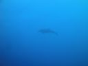 DSC00309.JPG
