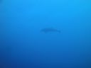 DSC00310.JPG