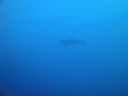 DSC00311.JPG