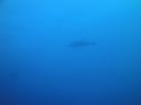DSC00312.JPG