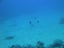 DSC00313.JPG