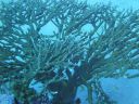 DSC00315.JPG