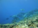 DSC00323.JPG