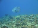 DSC00325.JPG