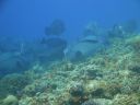 DSC00326.JPG