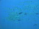 DSC00332.JPG