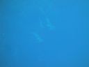 DSC00335.JPG