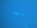 DSC00465.JPG