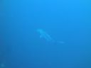 DSC00467.JPG