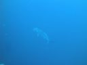 DSC00468.JPG