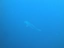 DSC00469.JPG