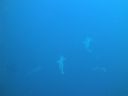 DSC00471.JPG