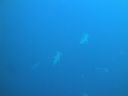 DSC00472.JPG