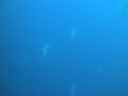 DSC00473.JPG