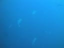 DSC00474.JPG