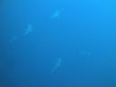 DSC00475.JPG