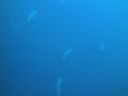 DSC00476.JPG