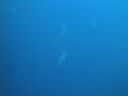 DSC00477.JPG
