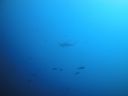 DSC00480.JPG