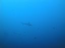 DSC00481.JPG