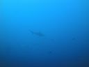 DSC00482.JPG