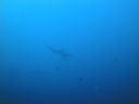 DSC00483.JPG