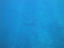 DSC00487.JPG