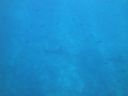 DSC00489.JPG