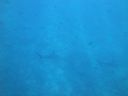 DSC00490.JPG