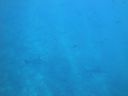 DSC00491.JPG