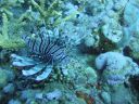 DSC00507.JPG