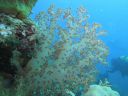 Filename=DSC00519.JPG
Filesize=384KiB
Dimensions=1024x768
Date added=Aug 05, 2014 DSC00519.JPG