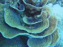 Filename=DSC00520.JPG
Filesize=393KiB
Dimensions=1024x768
Date added=Aug 05, 2014 DSC00520.JPG