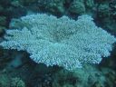 Filename=DSC00522.JPG
Filesize=432KiB
Dimensions=1024x768
Date added=Aug 05, 2014 DSC00522.JPG