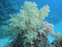 Filename=DSC00524.JPG
Filesize=374KiB
Dimensions=1024x768
Date added=Aug 05, 2014 DSC00524.JPG