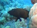 Filename=DSC00527.JPG
Filesize=394KiB
Dimensions=1024x768
Date added=Aug 05, 2014 DSC00527.JPG