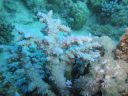 Filename=DSC00535.JPG
Filesize=399KiB
Dimensions=1024x768
Date added=Aug 05, 2014 DSC00535.JPG