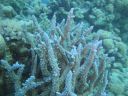 Filename=DSC00538.JPG
Filesize=410KiB
Dimensions=1024x768
Date added=Aug 05, 2014 DSC00538.JPG