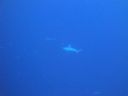 DSC00552.JPG