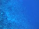 DSC00562.JPG