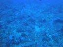DSC00566.JPG