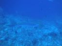 DSC00573.JPG