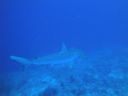 DSC00576.JPG