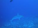DSC00577.JPG
