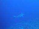 DSC00578.JPG