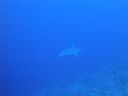 DSC00579.JPG