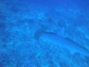 DSC00583.JPG