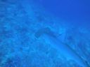 DSC00584.JPG